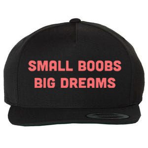 Small Boobs Big Dreams Funny Sarcastic Wool Snapback Cap