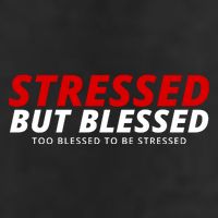 Stressed But Blessed Too Blessed To Be Stressed 7 Panel Mesh Trucker Snapback Hat