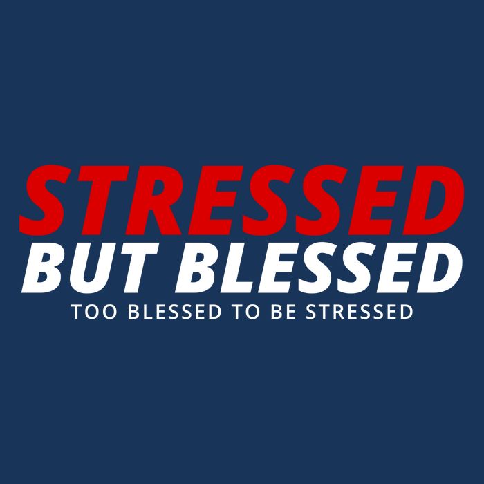 Stressed But Blessed Too Blessed To Be Stressed Infant Baby Jersey Bodysuit