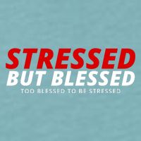 Stressed But Blessed Too Blessed To Be Stressed Sueded Cloud Jersey T-Shirt