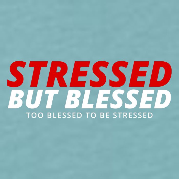 Stressed But Blessed Too Blessed To Be Stressed Sueded Cloud Jersey T-Shirt