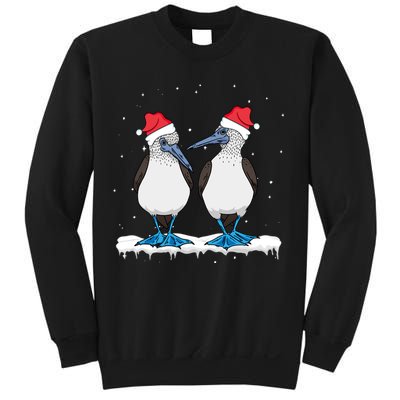 Seabirds Bluefooted Booby Bird Lover Christmas Sweatshirt