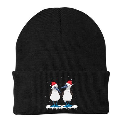 Seabirds Bluefooted Booby Bird Lover Christmas Beanie