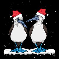 Seabirds Bluefooted Booby Bird Lover Christmas Drawstring Bag
