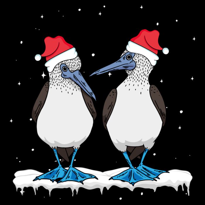 Seabirds Bluefooted Booby Bird Lover Christmas Drawstring Bag