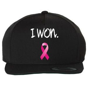 Survivor Breast Cancer Awareness Funny Gift Wool Snapback Cap