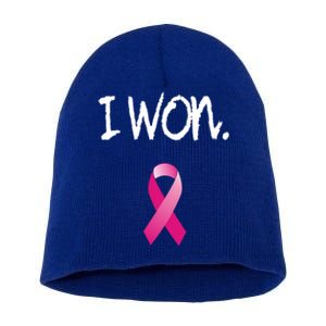 Survivor Breast Cancer Awareness Funny Gift Short Acrylic Beanie