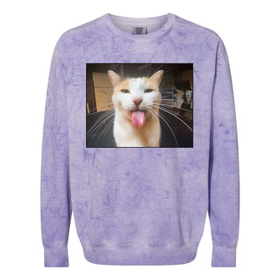 Silly Bleh Cat Meme Colorblast Crewneck Sweatshirt