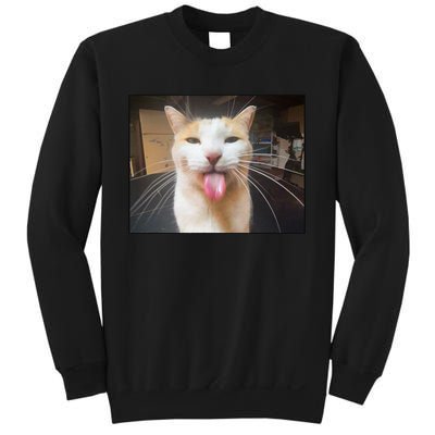 Silly Bleh Cat Meme Sweatshirt