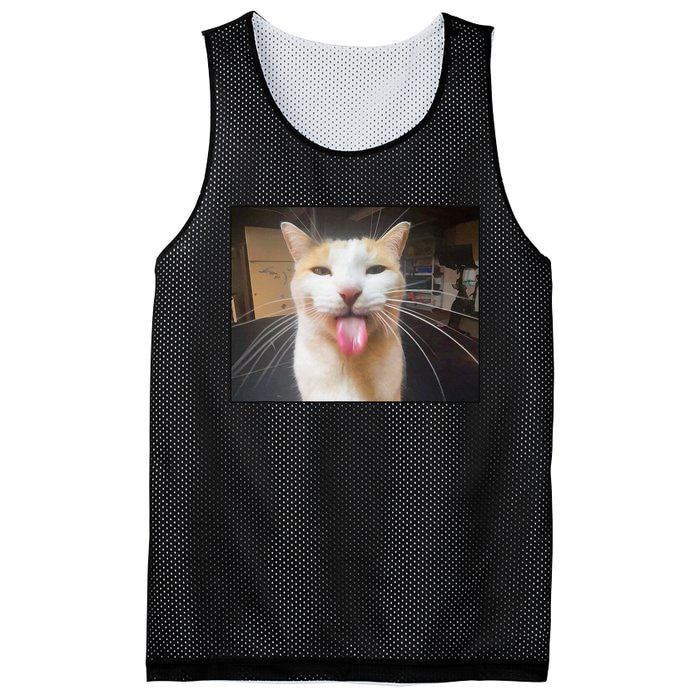 Silly Bleh Cat Meme Mesh Reversible Basketball Jersey Tank