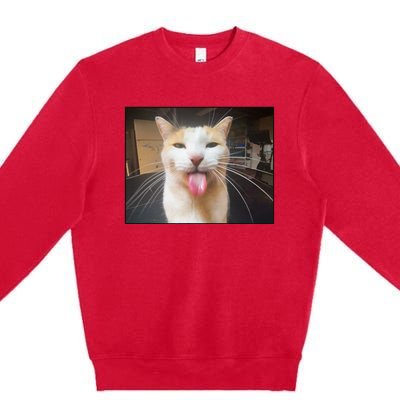 Silly Bleh Cat Meme Premium Crewneck Sweatshirt