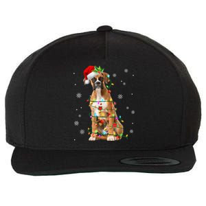 Santa Boxer Christmas Tree Light Pajama Dog X Mas Matching Meaningful Gift Wool Snapback Cap