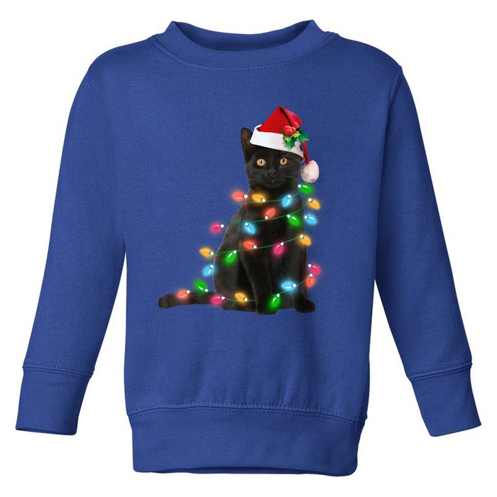 Santa Black Cat Tangled Up In Christmas Tree Lights Holiday Funny Gift Toddler Sweatshirt