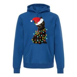 Santa Black Cat Tangled Up In Christmas Tree Lights Holiday Gift Premium Hoodie