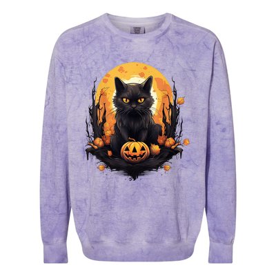 Scary Black Cat Pumpkin Halloween Costume Boy GIrls Kid Colorblast Crewneck Sweatshirt