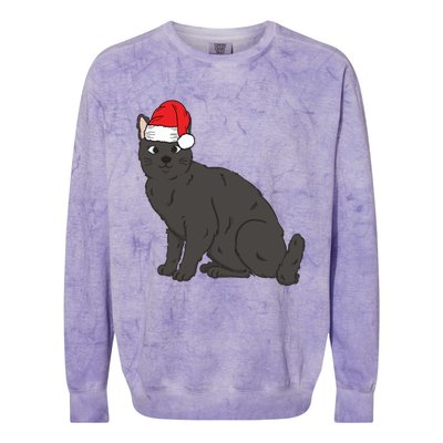 Santa Black Cat Winter Christmas Cat Mom Holiday Gift Colorblast Crewneck Sweatshirt