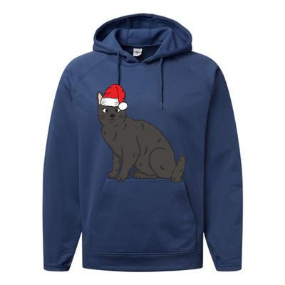 Santa Black Cat Winter Christmas Cat Mom Holiday Gift Performance Fleece Hoodie