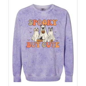 Spooky But Cute Ghost Dog Boo Pumpkin Candy Groovy Halloween Gift Colorblast Crewneck Sweatshirt