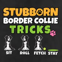 Stubborn Border Collie Tricks I Dog Lover I Border Collie Crop Fleece Hoodie