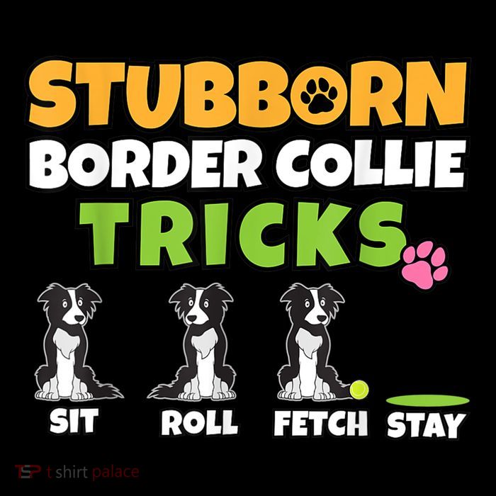 Stubborn Border Collie Tricks I Dog Lover I Border Collie Womens T-Shirt