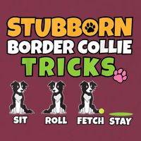 Stubborn Border Collie Tricks I Dog Lover I Border Collie 16oz Travel Tumbler