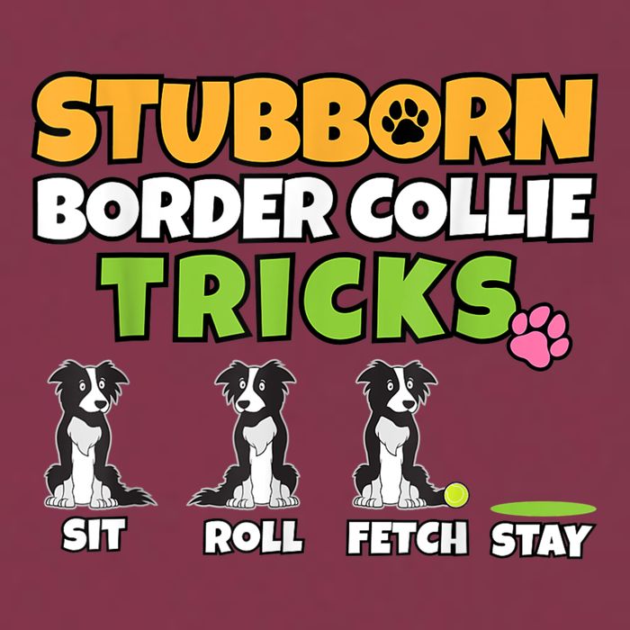 Stubborn Border Collie Tricks I Dog Lover I Border Collie 16oz Travel Tumbler