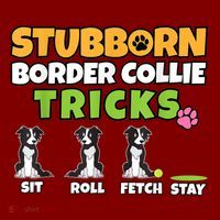 Stubborn Border Collie Tricks I Dog Lover I Border Collie Sustainable Beanie