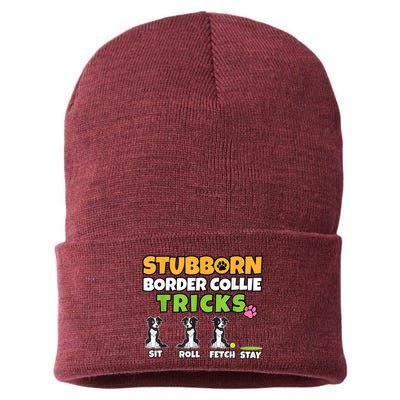 Stubborn Border Collie Tricks I Dog Lover I Border Collie Sustainable Knit Beanie