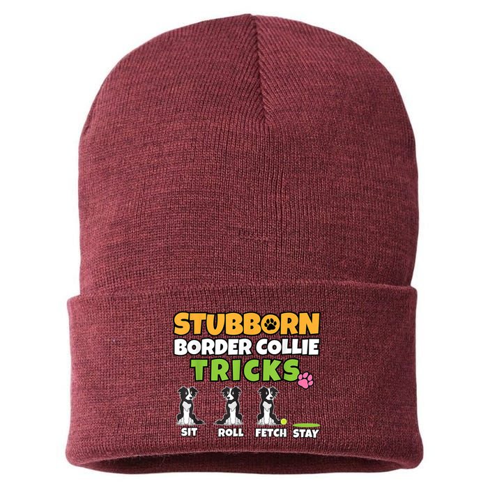 Stubborn Border Collie Tricks I Dog Lover I Border Collie Sustainable Knit Beanie