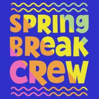 Spring Break Crew Groovy 2025  Hoodie
