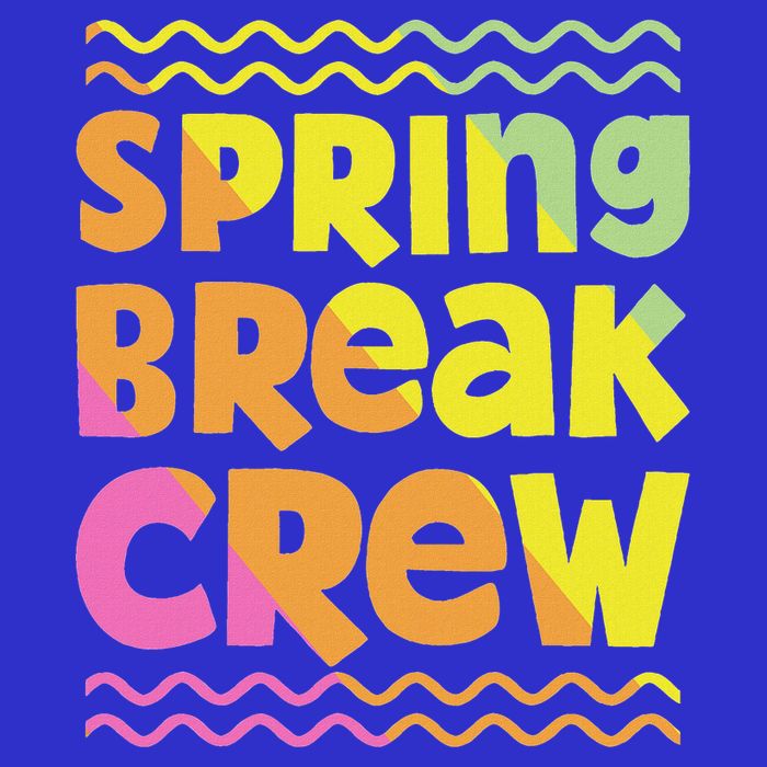 Spring Break Crew Groovy 2025  Hoodie
