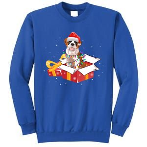 Saint Bernard Dog Christmas Is Box Gift Dog Light Tree Xmas Gift Sweatshirt