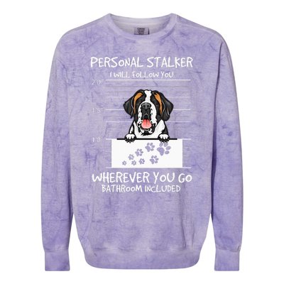 Saint Bernard Dog Mother's Day Personal Stalker Dog Lover Colorblast Crewneck Sweatshirt