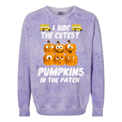 School Bus Driver I Drive The Cutest Pumpkins In Patch Cool Gift Colorblast Crewneck Sweatshirt