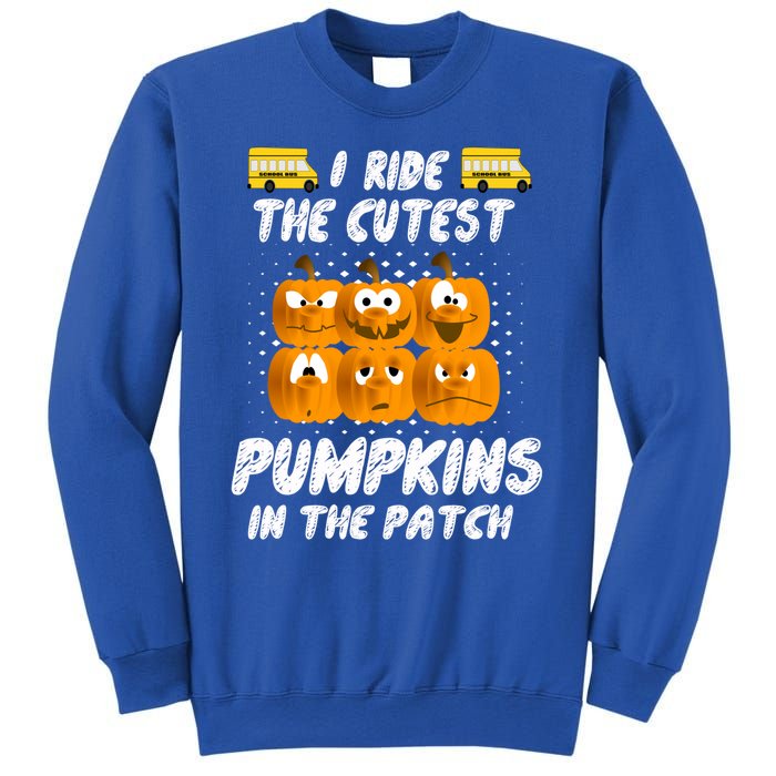 School Bus Driver I Drive The Cutest Pumpkins In Patch Cool Gift Sweatshirt