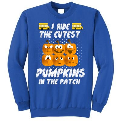 School Bus Driver I Drive The Cutest Pumpkins In Patch Cool Gift Tall Sweatshirt