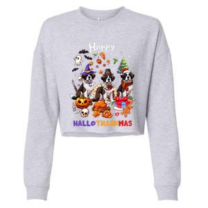 Saint Bernard Dog Christmas Thanksgiving Happy Hallothankmas Cropped Pullover Crew