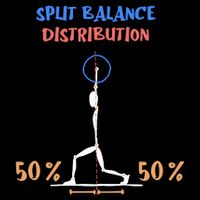Split Balance Distribution 16 in Basic Backpack
