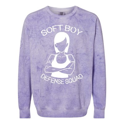 Soft Boy Defense Squad Colorblast Crewneck Sweatshirt