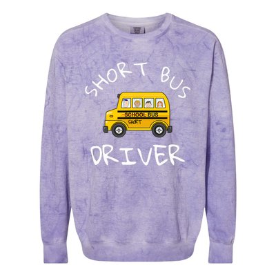 School bus driver Funny Novelty School Bus Driver Colorblast Crewneck Sweatshirt