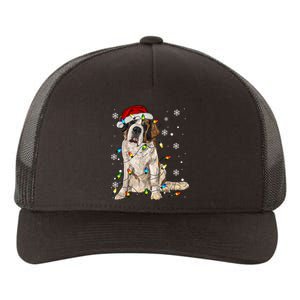 Saint Bernard Dog Santa Christmas Tree Lights Pajama Xmas Yupoong Adult 5-Panel Trucker Hat