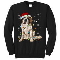 Saint Bernard Dog Santa Christmas Tree Lights Pajama Xmas Tall Sweatshirt