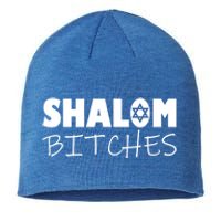 Shalom Bitches Funny Hebrew Jewish Gift Sustainable Beanie