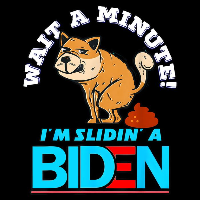 Slidin Biden Funny Dog Trump Political Sarcasm Cooling Performance Crew T-Shirt