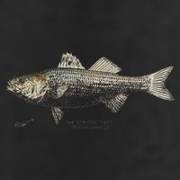 Striped Bass Fishing 7 Panel Mesh Trucker Snapback Hat