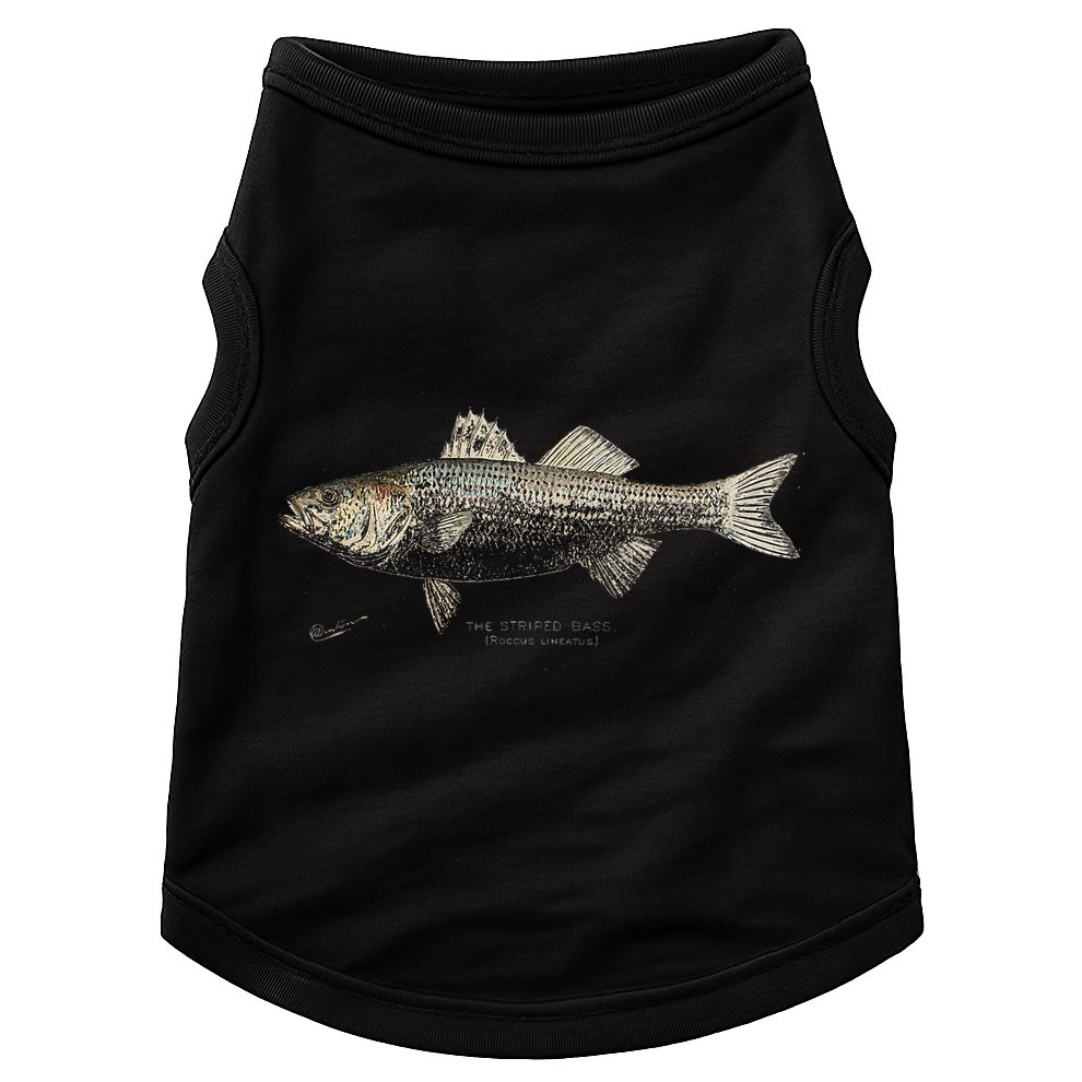 Striped Bass Fishing Doggie Tank