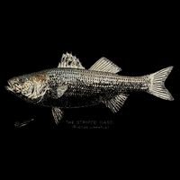 Striped Bass Fishing Drawstring Bag