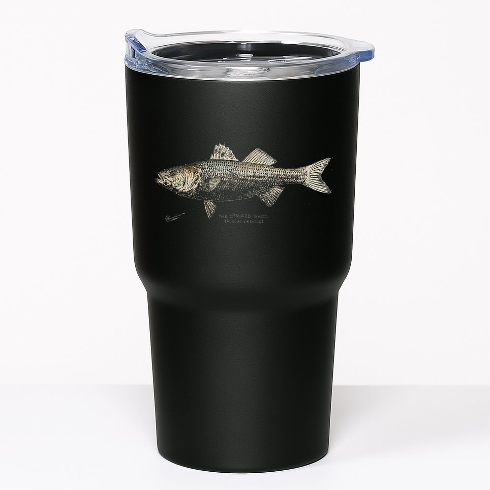 Striped Bass Fishing Tumbler