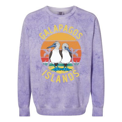 Seabirds Blue Footed Booby Bird Galapagos Island Colorblast Crewneck Sweatshirt