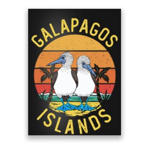 Seabirds Blue Footed Booby Bird Galapagos Island Poster